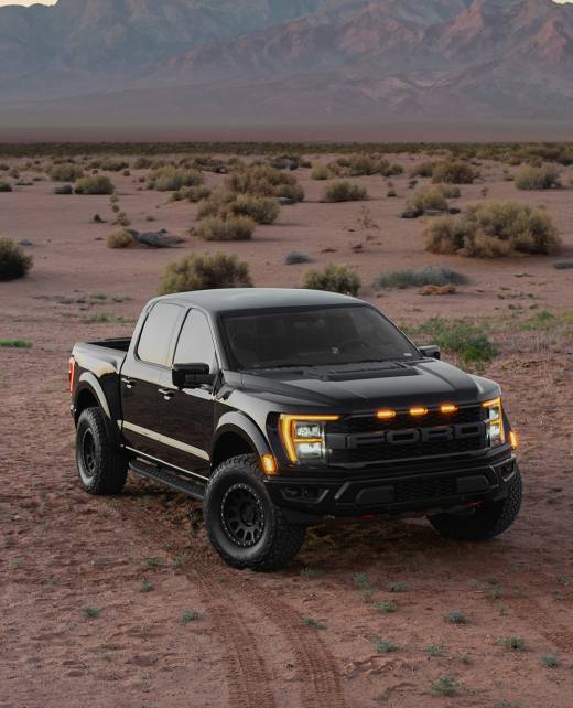 A black Ford F-150